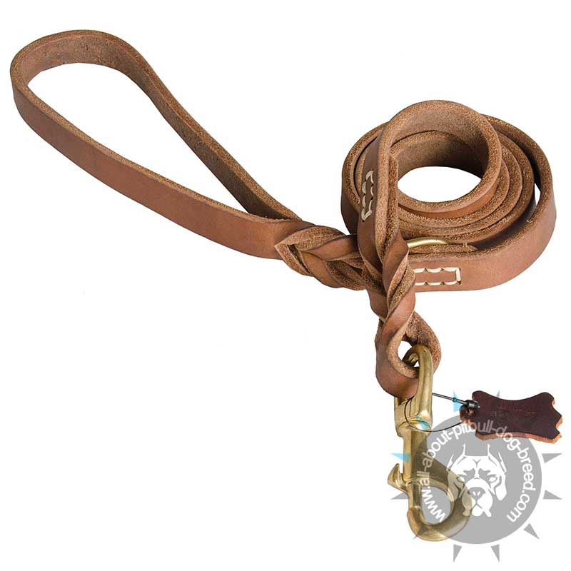 Classic 6ft Leather Pitbull Leash with Braided Handle