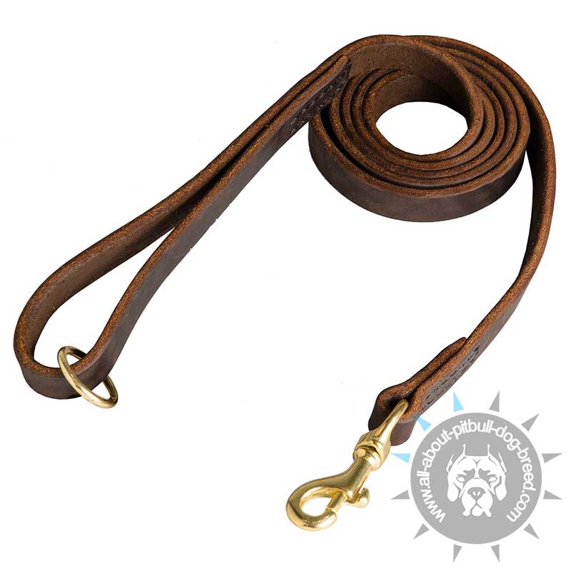 Leather Dog Leash Stitched Well-Made