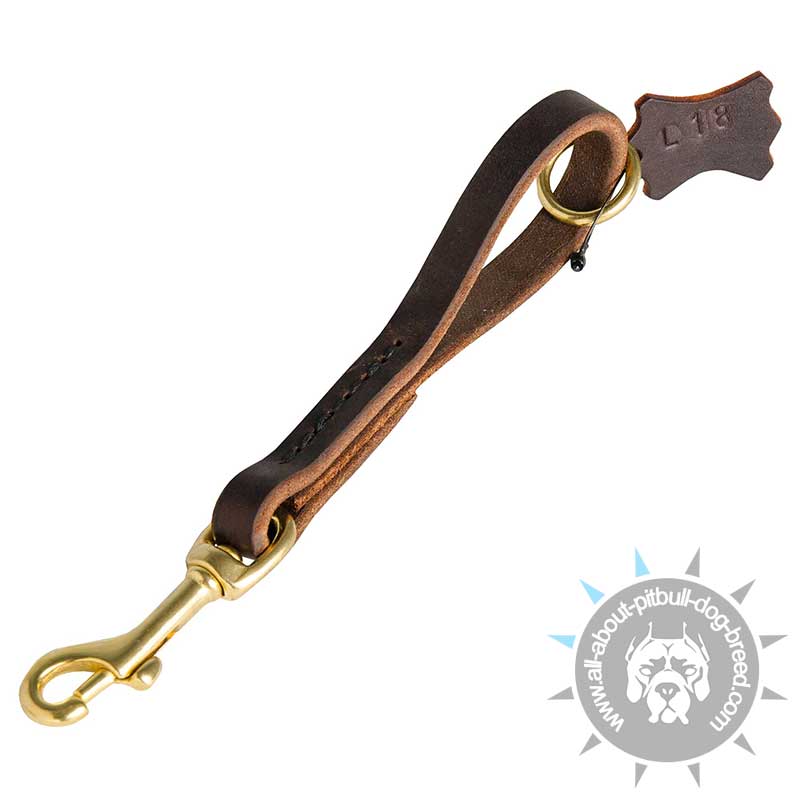 Fast Grab Leather Pull Tab Leash for Pitbull - Click Image to Close