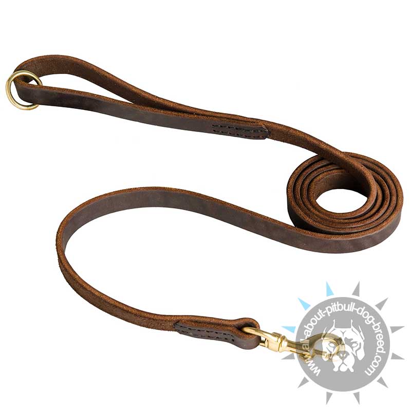 3/4 inch Stitched Leather Pitbull Lead with Brass Snap Hook