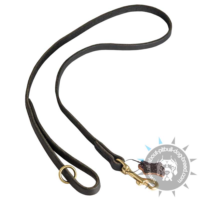 Multitask Hand Stitched Leather Leash for Pitbull