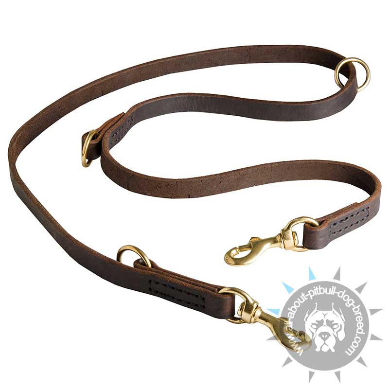Multi Functional Leather Dog Leash for Pitbull