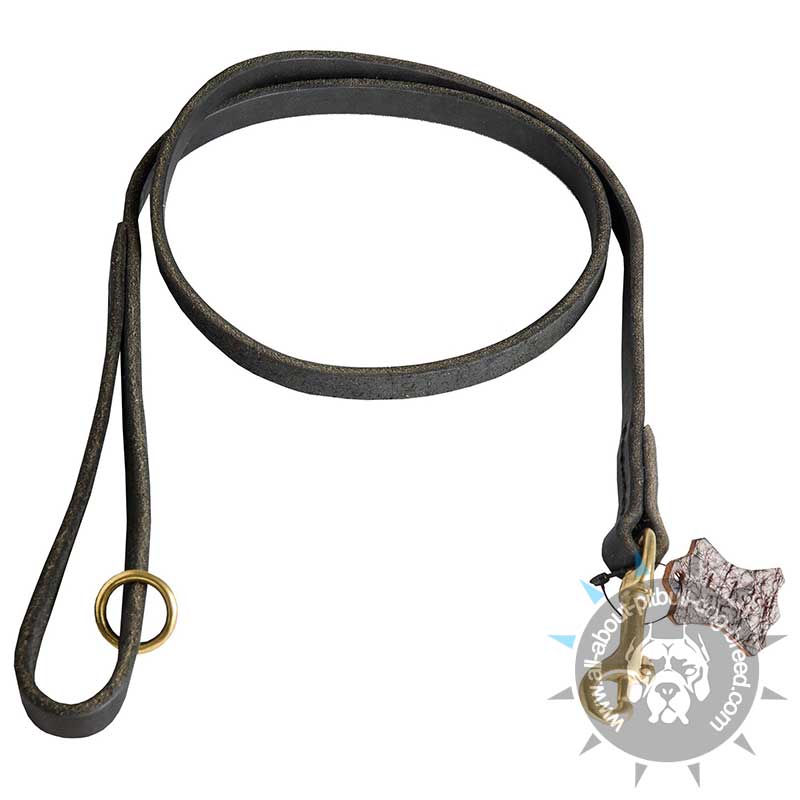 Leather Pitbull Leash for Walking and Tracking