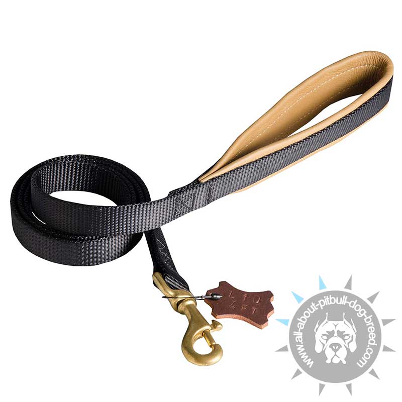 Padded Handle Dog Lead for Pitbull