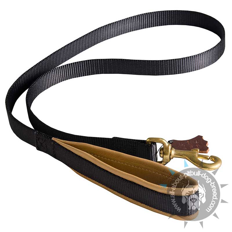 Comfortable Walking Pitbull Leash with Nappa Padded Handle