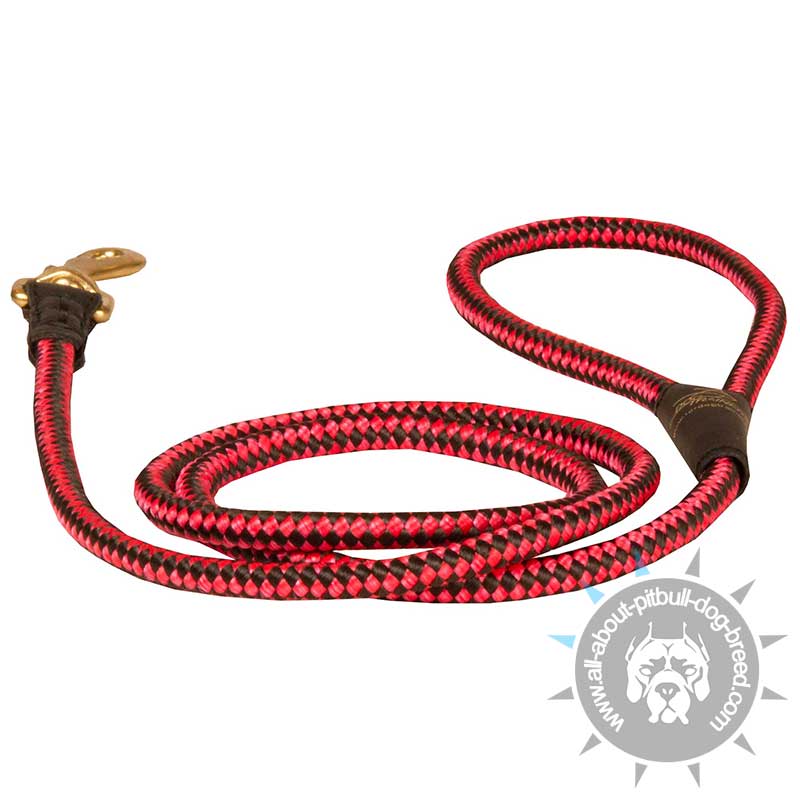 Strong Nylon Cord Pitbull Leash
