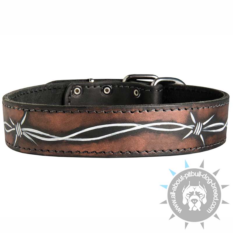 Hand Painted by Our Artists Leather Dog Collar - Barbed Wire