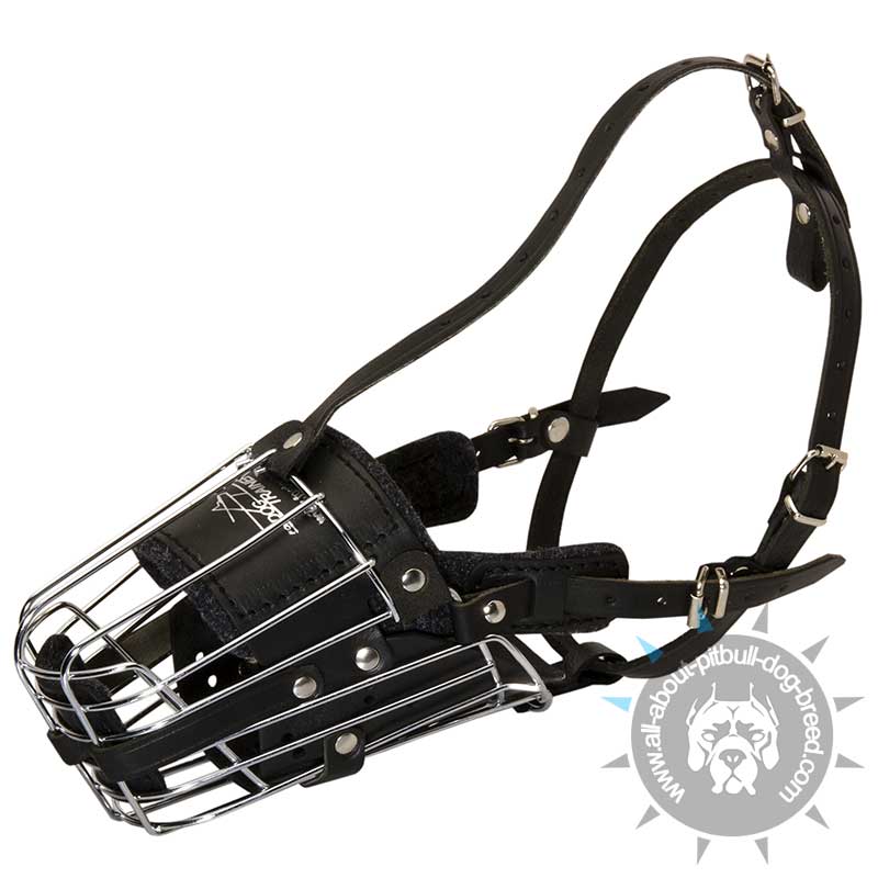 'No Mash' Best Wire Dog Muzzle with Soft Leather Lining for Handsome Pitbull