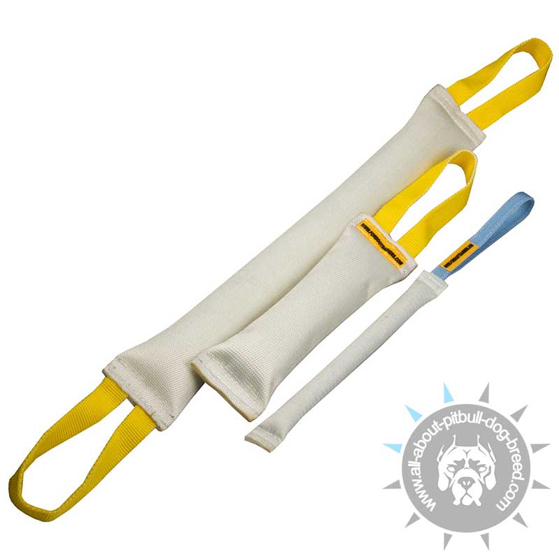 Fire Hose Bite Tugs Training Set