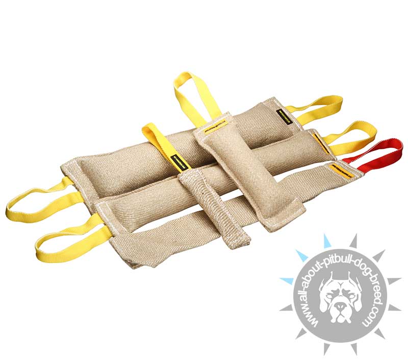 Pitbull Training Set of Jute Bite Tugs (4 items and a free gift)