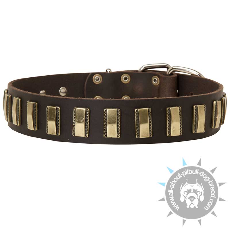 Fashion Leather Dog Collar with Brass Plates