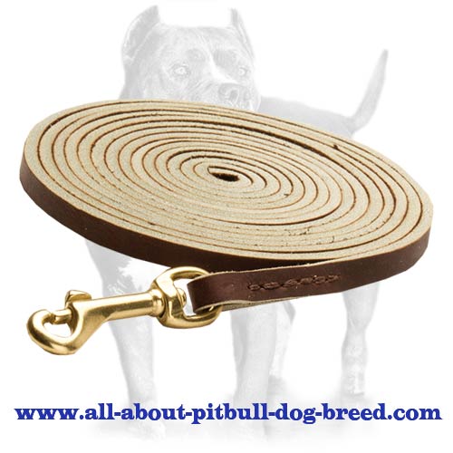 Training,tracking leather dog leash/ walking dog lead