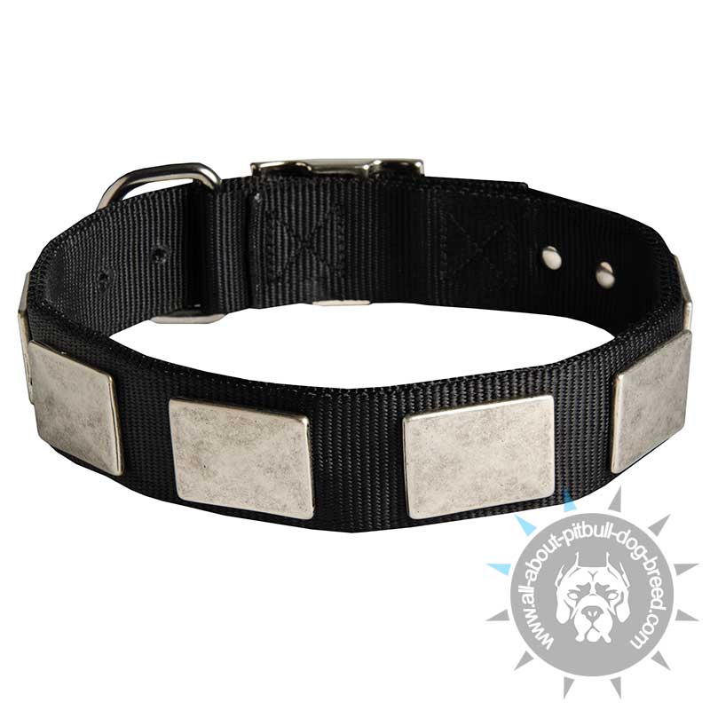 Custom Nylon Dog Collar For Large Dog Breeds With Vintage Plates