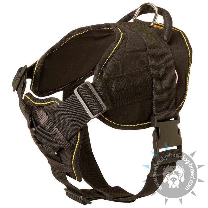 Premium Nylon Dog Harness-Uniquely Designed Comfortable Educative Dog Equipment