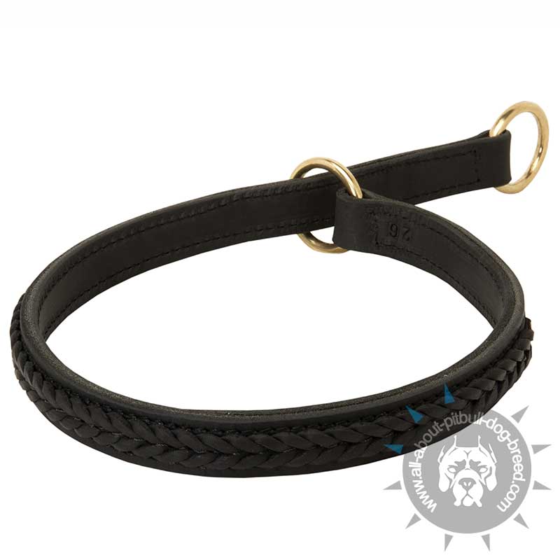 Braided Leather Choke Dog Collar-Fashion Collar for Pitbull