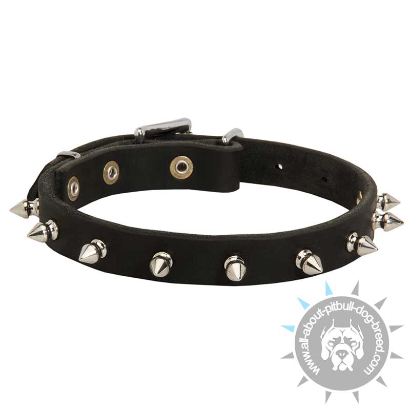 Spiked Dog Collar - Fascinating Leather Dog Collar for Pitbulls