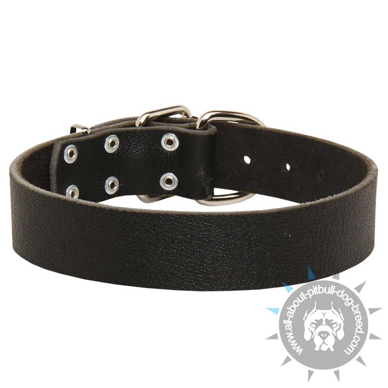Leather Traditional Buckle Collar for Pitbull