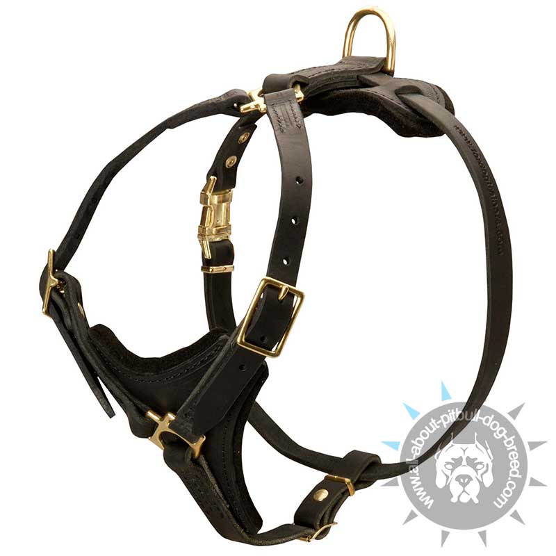Tracking / Walking Dog Harness for Pitbull - Uniquely Made Professional Dog Equipment