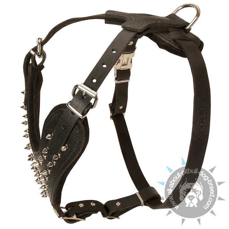 Order Now Spiked Dog Harness Specially Designed by our Manufacturers