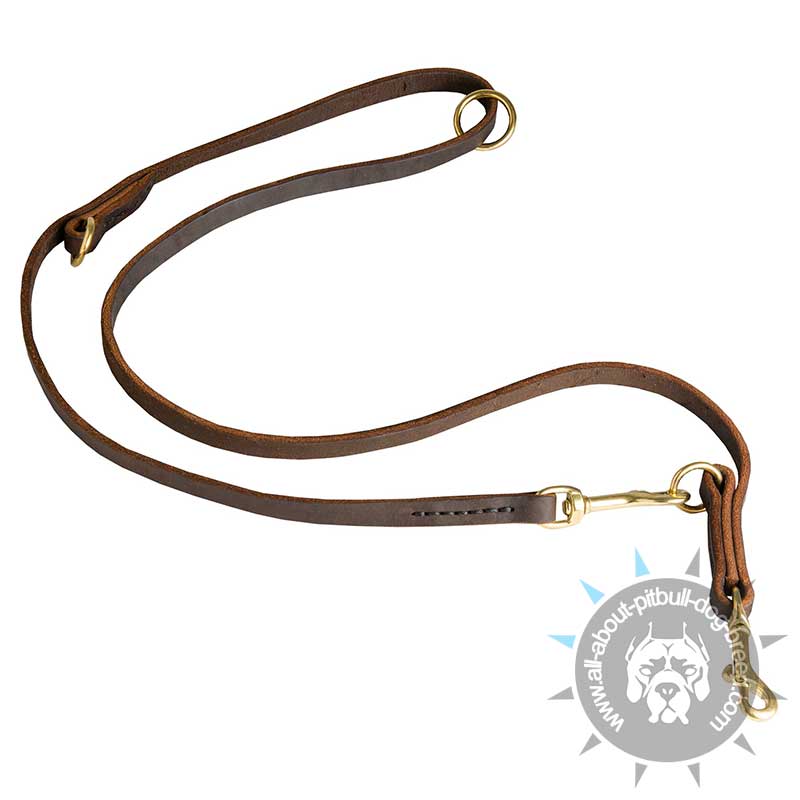 Multifunctional Leather Pitbull Leash -1/2 inch Wide