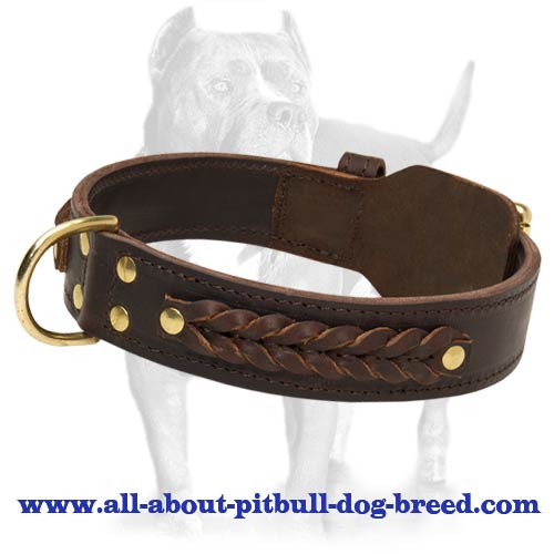Braided Leather Dog Collar for PITBULL
