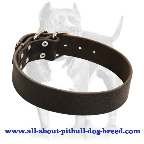 Strong Leather Dog Collar-1 1/2 Inch Wide Custom Dog Collar for Pitbull