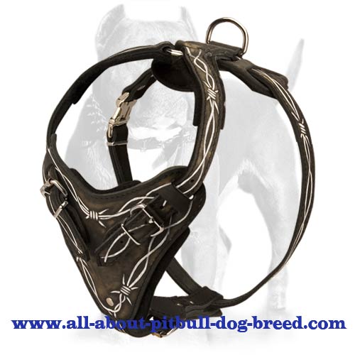 Handmade NEW Pitbull Leather Dog Harness with Barbed Wire Hand Painting