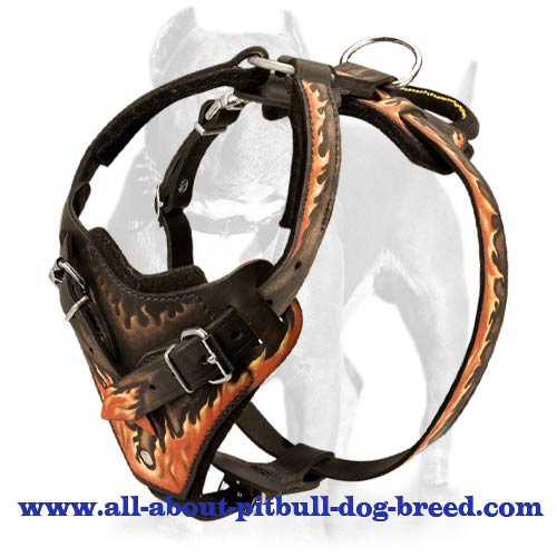 Awesome Leather Dog Harness With Exclusive Handmade Painting
