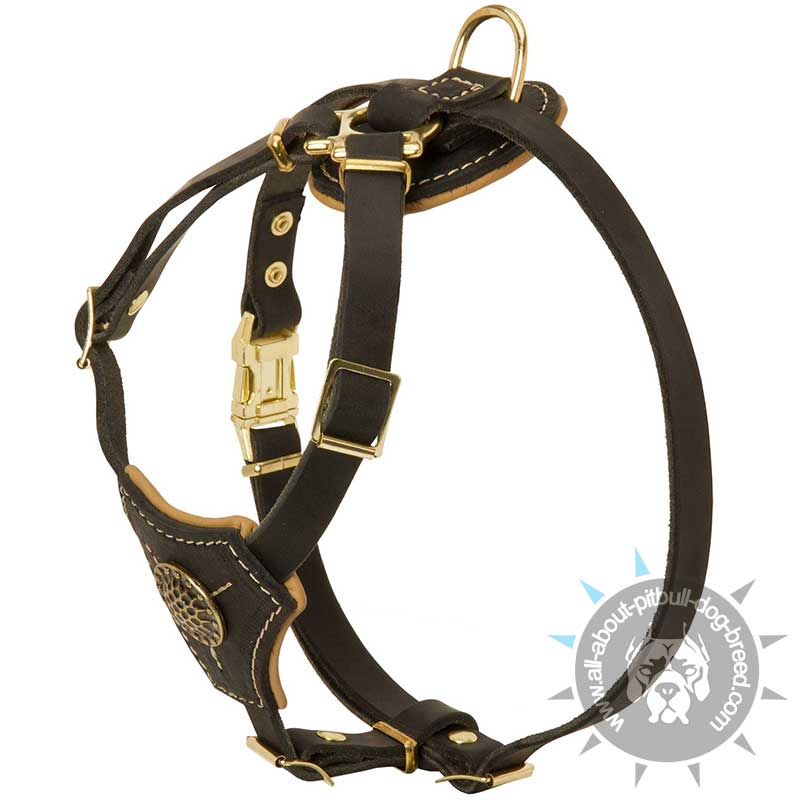 Walking Leather Dog Harness Of Fashion Design For Pitbull Puppies And Small Dog Breeds