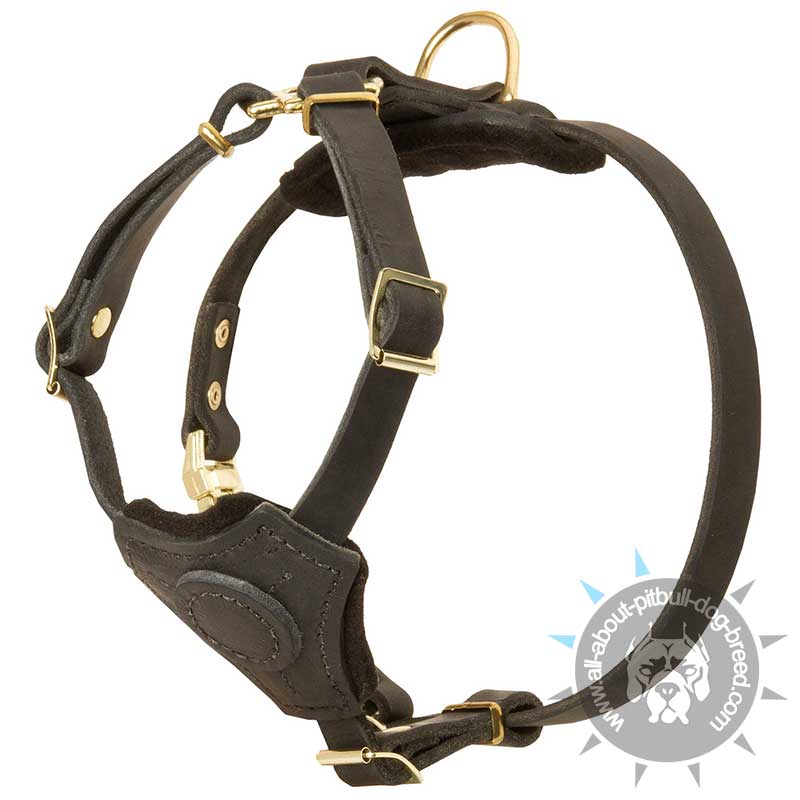 Small Leather Dog Harness for Pitbull puppy - Click Image to Close