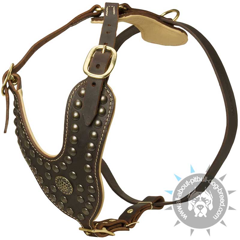 Studded Leather Dog Harness-Fancy Hand Crafted Dog Equipment