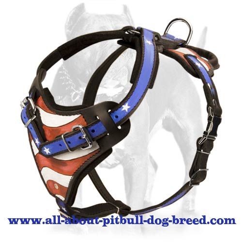 Hand painted by our artists handmade Pitbull Leather Dog Harness - Click Image to Close