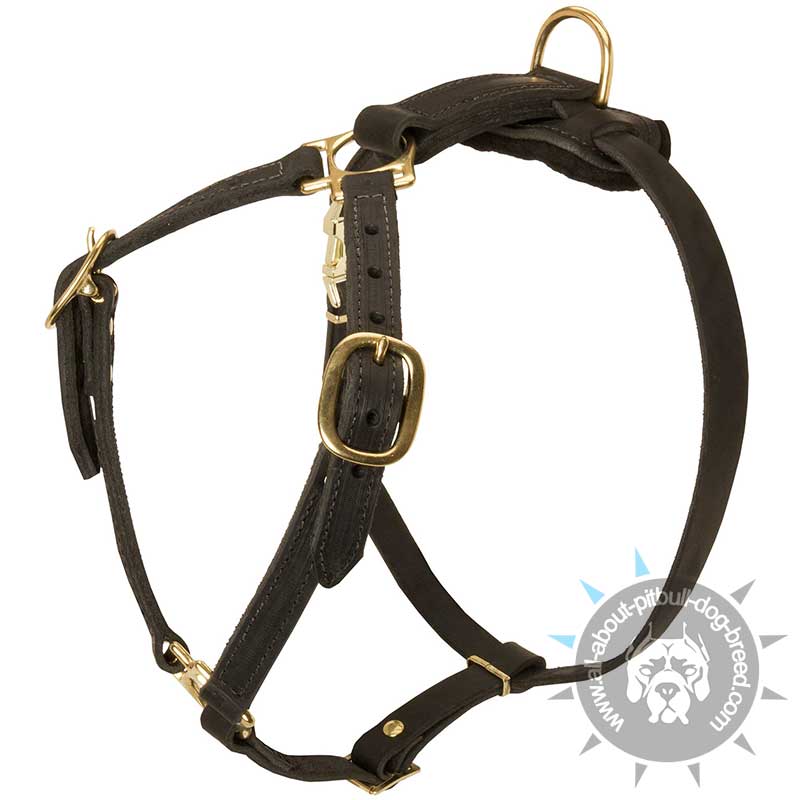 Luxury Handcrafted Leather Dog Harness For American Pitbull Terrier