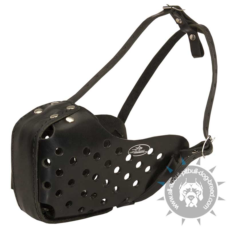 Leather Dog Muzzle "Dondi" - Professional Dog Muzzle For Pit Bull Dogs