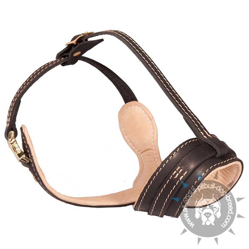 Pitbull Terrier Royal Nappa Leather Dog Muzzle