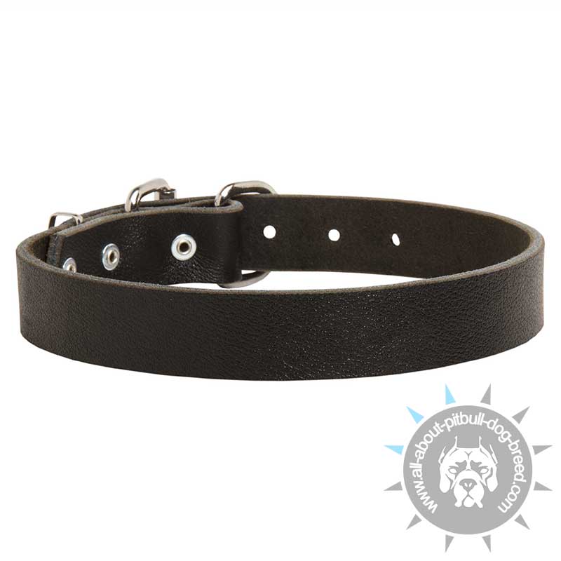 Custom Made Leather Dog Collar For Pitbull Dogs