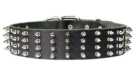 Protector Full Spiked 2 inch collar for Pitbull