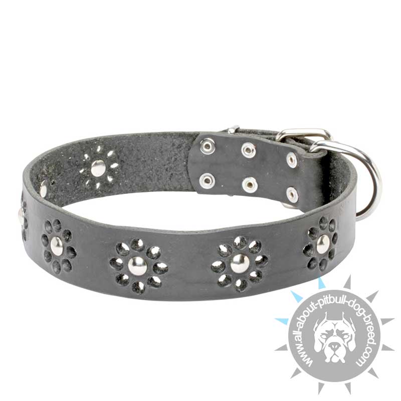 "Flower Blues" Leather Pitbull Collar with Stunning Decor