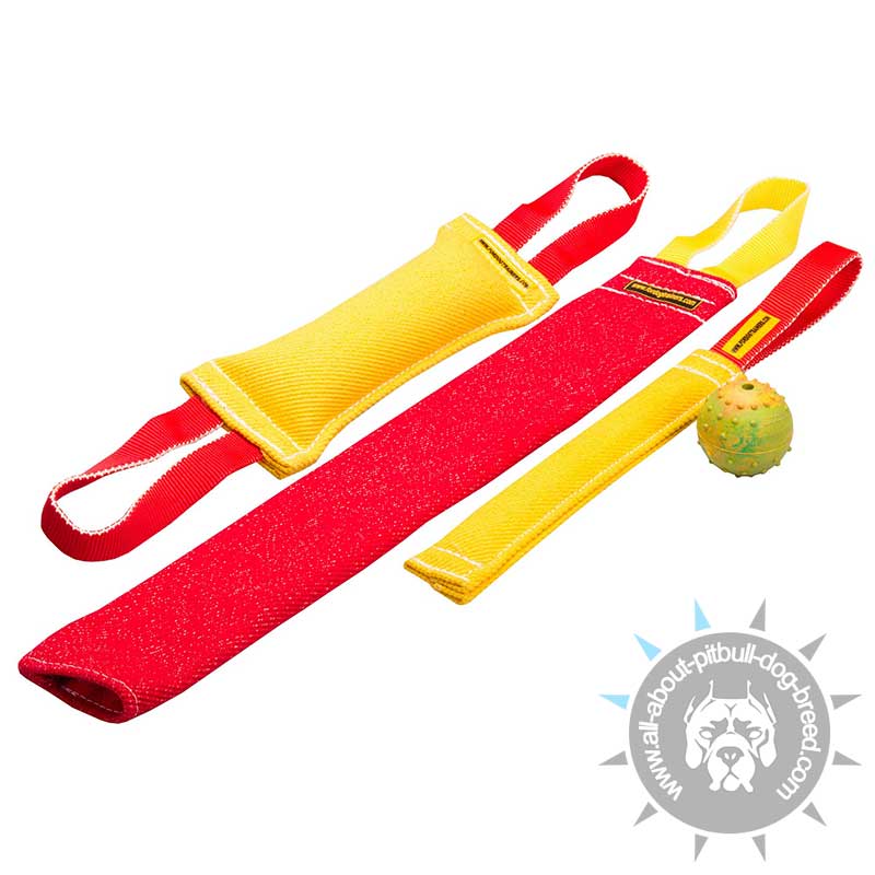 French Linen Bite Set Tugs + Free Gift - Squeakering Ball