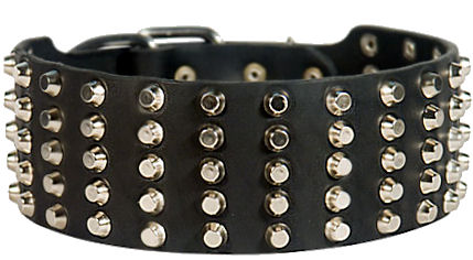 Pyramid Studs on Leather Dog Collar for Pitbull