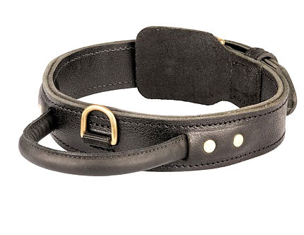 Quick Control Dog Collar with Handle for Pitbull