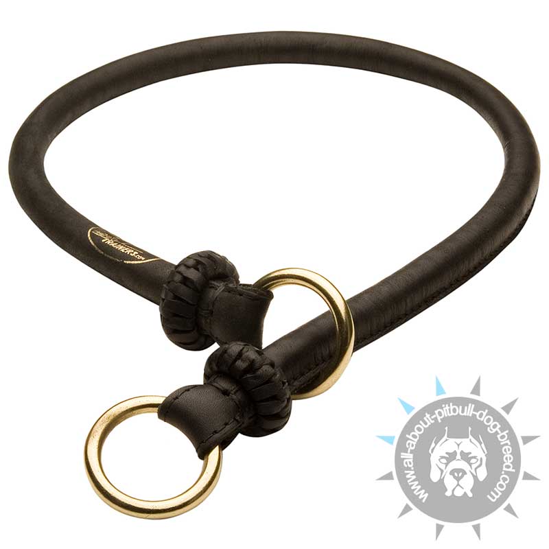 Rolled Leather/Choke Dog Collar 1/4 inch for Pitbull