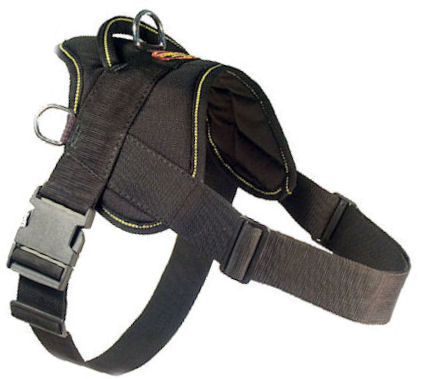 Looking for EzyDog Harness for Pitbull