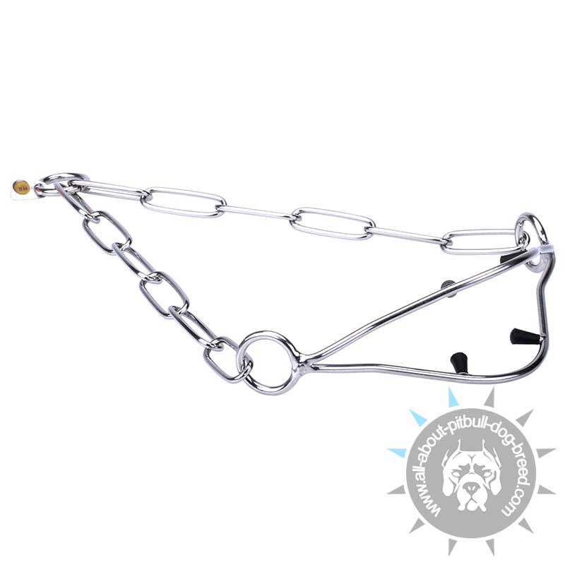"Correct Posture" Stainless Pitbull Show Collar with Caps and Fur Saving Links - 1/9 inch (3 mm) in diameter