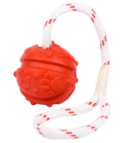 Similar to Everlasting Fun Ball on a Rope for Pitbull