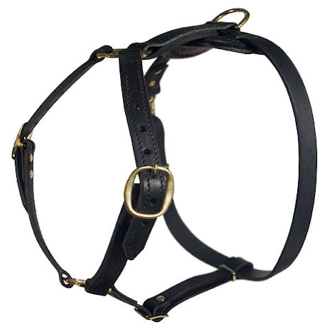Similar Lupine adjustable dog harness for Pitbull