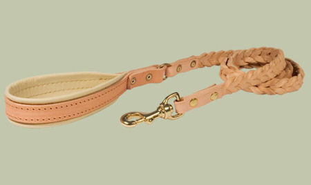 Similar to COACH Leather Dog Leash for Pitbull training
