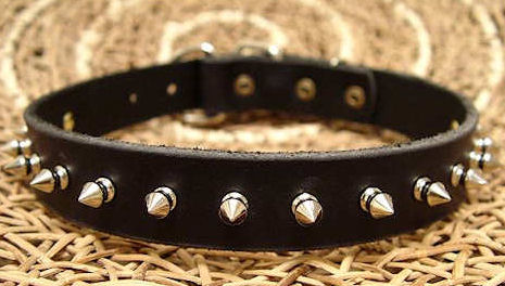 Small Spiked Dog Collar for Pitbull puppy