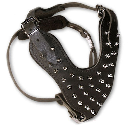 Spiked 2-Ply Latigo Harness for Pitbull - Click Image to Close