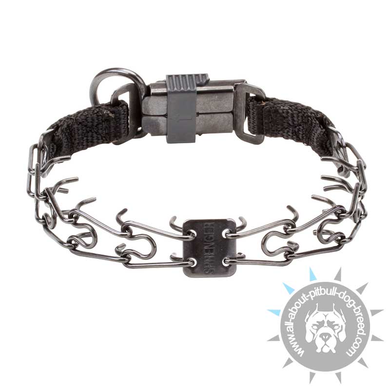 When To Use A Pinch Collar at Tony Pelletier blog